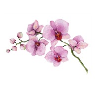 Møyfrid Emmy Eiterå